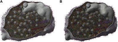 From complex data to clear insights: visualizing molecular dynamics trajectories